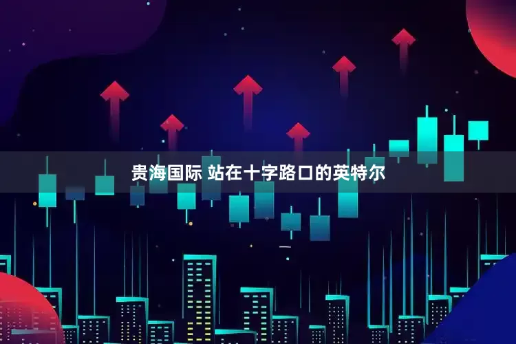 贵海国际 站在十字路口的英特尔
