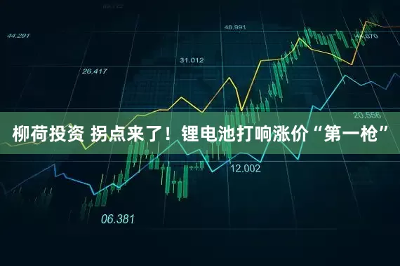 柳荷投资 拐点来了！锂电池打响涨价“第一枪”