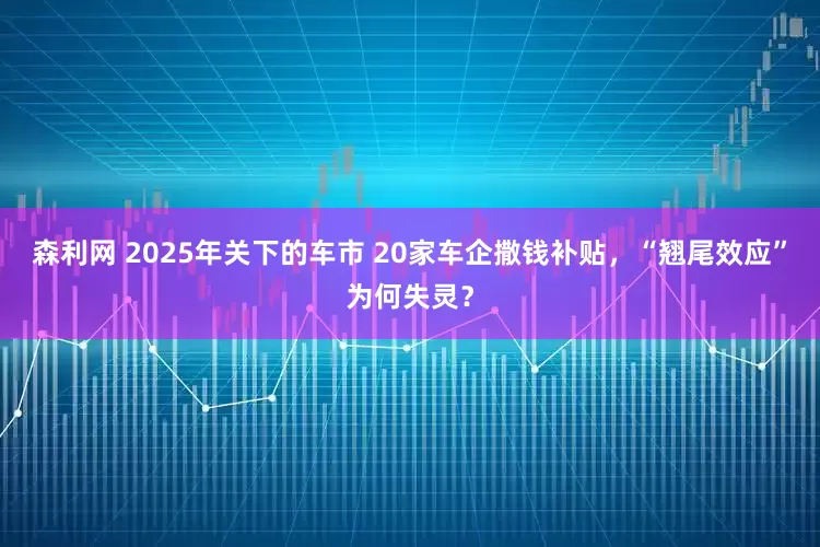 森利网 2025年关下的车市 20家车企撒钱补贴，“翘尾效应”为何失灵？