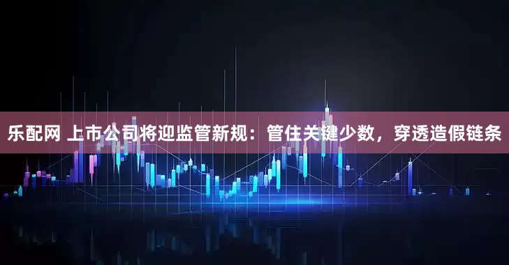 乐配网 上市公司将迎监管新规：管住关键少数，穿透造假链条