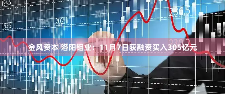 金风资本 洛阳钼业：11月7日获融资买入305亿元