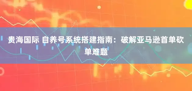 贵海国际 自养号系统搭建指南:破解亚马逊首单砍单难题